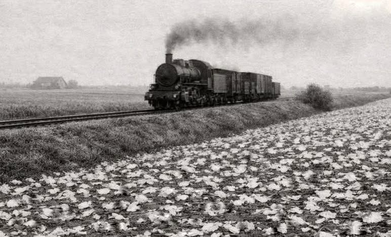 Auf den Spuren der Marschenbahn: Als der Zug noch bis Friedrichskoog fuhr